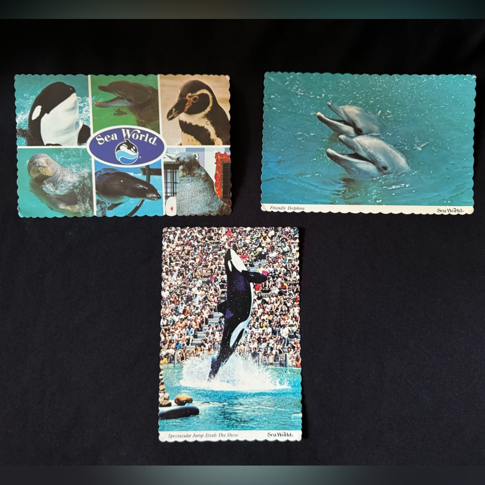 🌷 Set of Three Vintage 80s Sea World Postcards - Shamu, Dolphins, and More